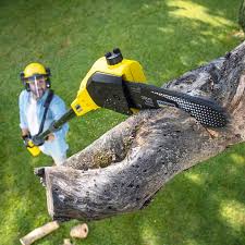 Best Utility Line Clearance  in North Randall, OH